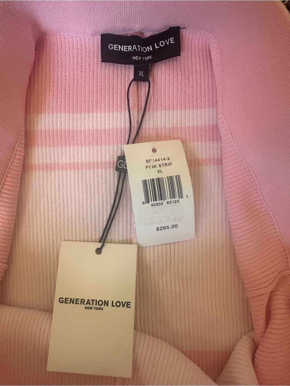 Generation Love XL Tiana Skirt Pink Stripe Midi Gold Chain Leather Belt NWT $265 - Picture 8 of 11